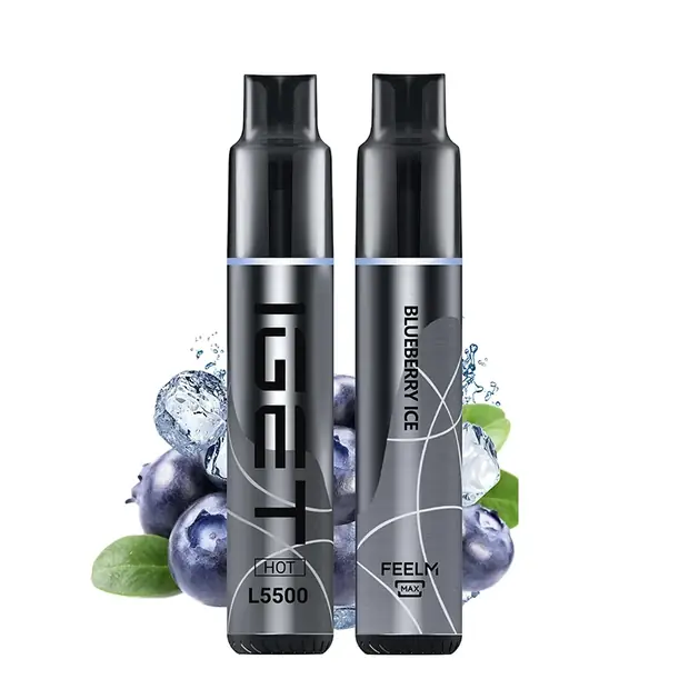 Blueberry Ice โ IGET HOT 5500 Puffs