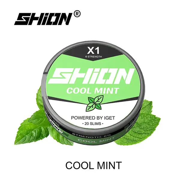 Cool Mint โ IGET SHION X1 Nicotine Pouch 6mg